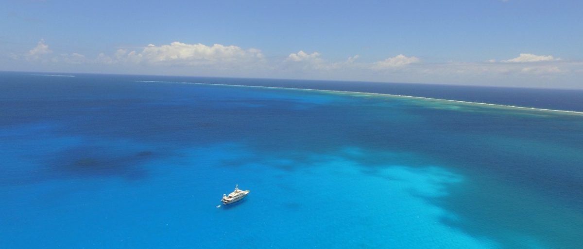 BELUGA yacht charter great barrier reef australia superyacht charters