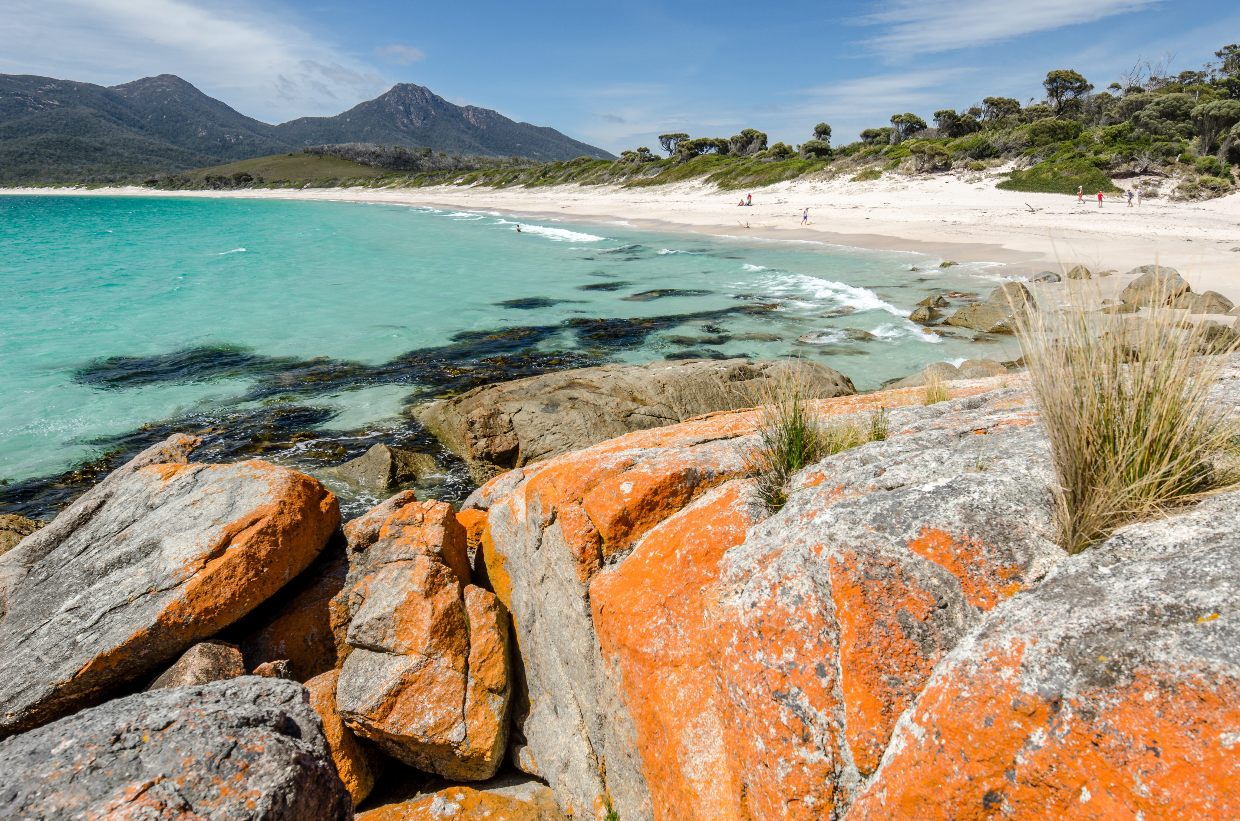TASMANIA Ocean Alliance TASMANIA Ocean Alliance