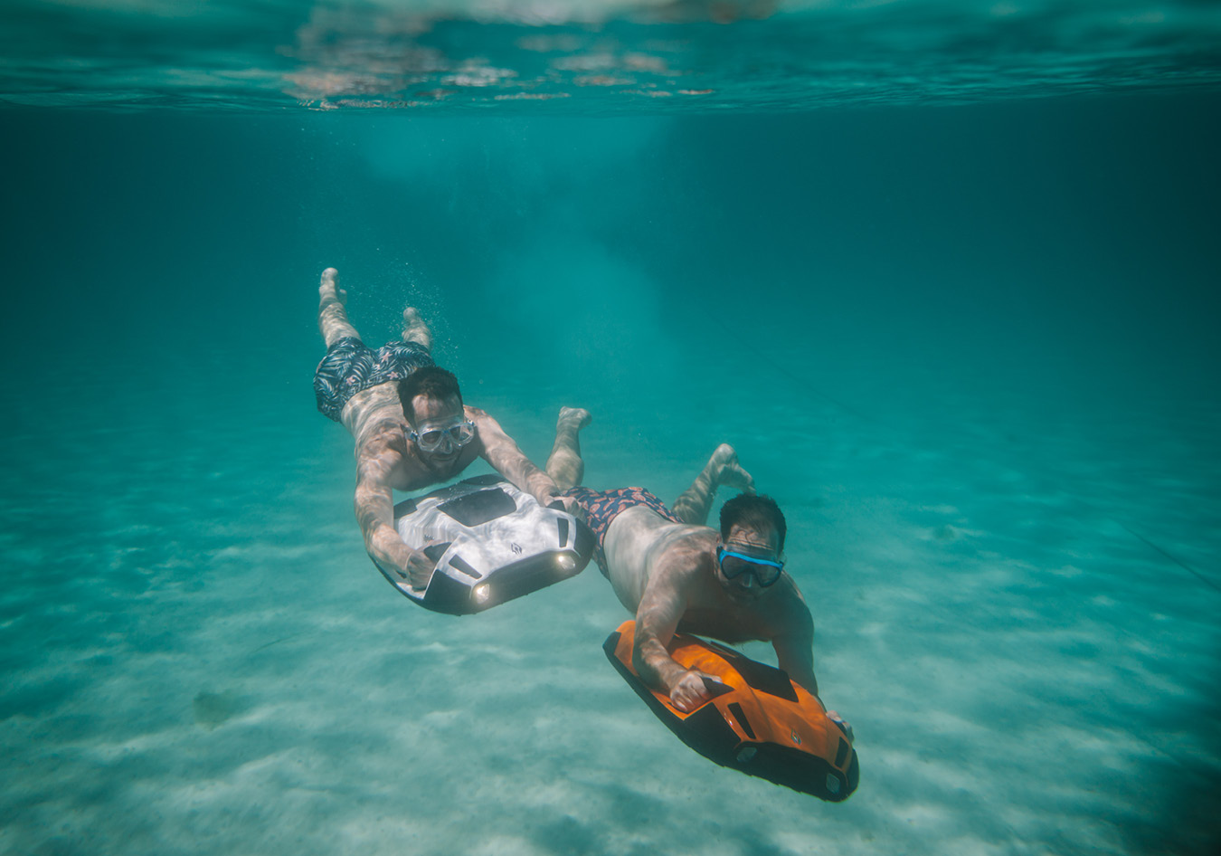 seabobs in the whitsundays