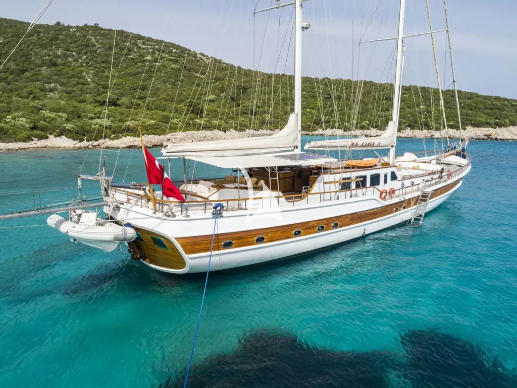 CANER IV