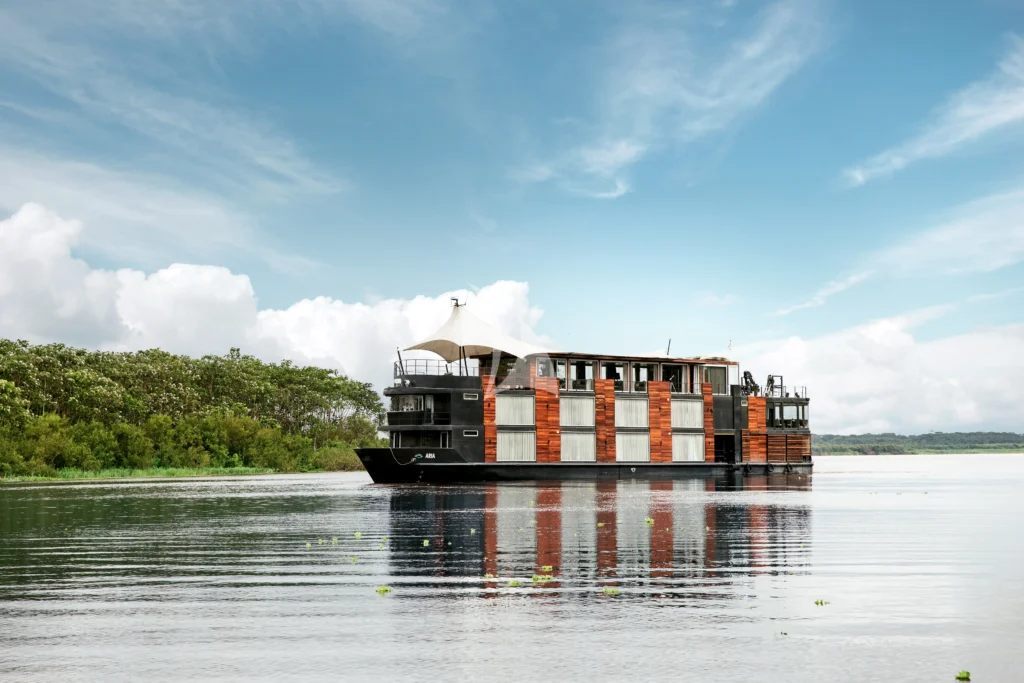ARIA AMAZON