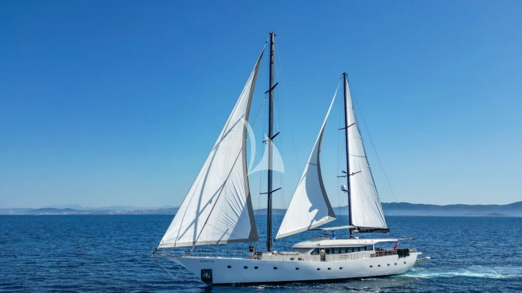 SUREYYA