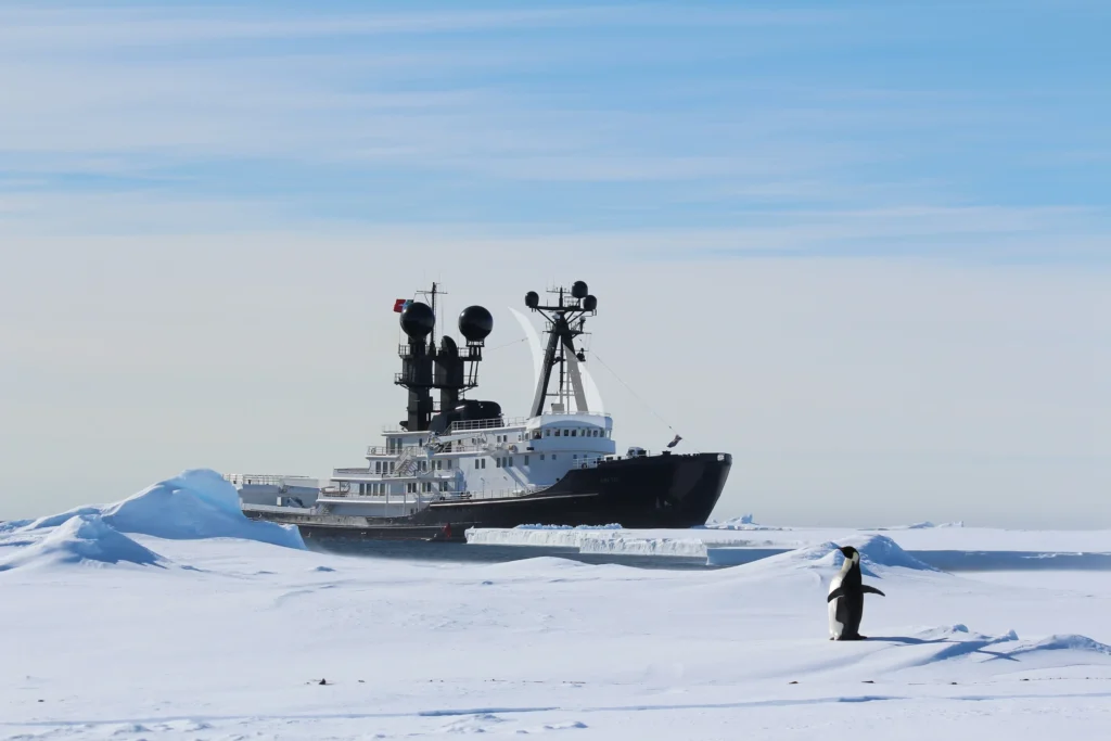 ARCTIC
