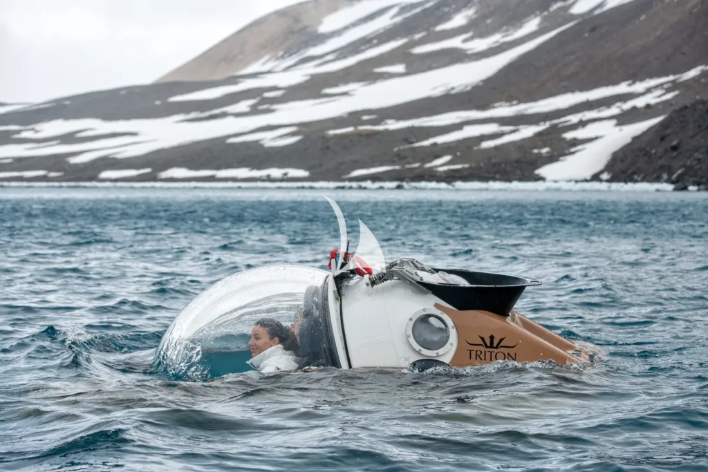 Submersible (package available)