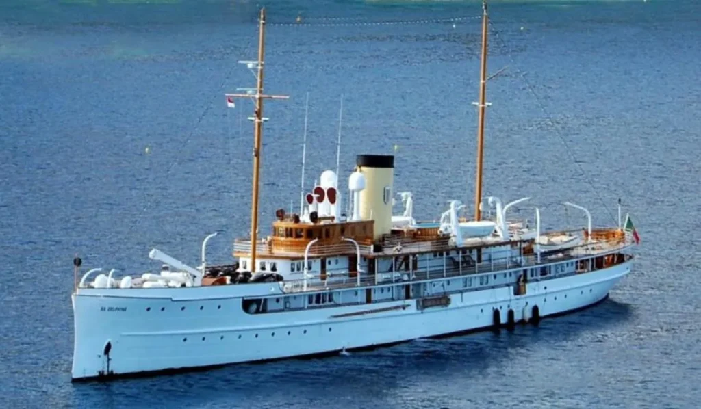 SS DELPHINE photo 3