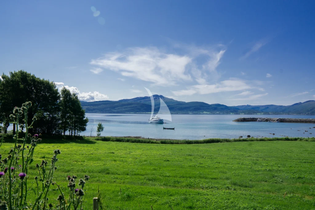 Sheergold in Norway this summer 2026