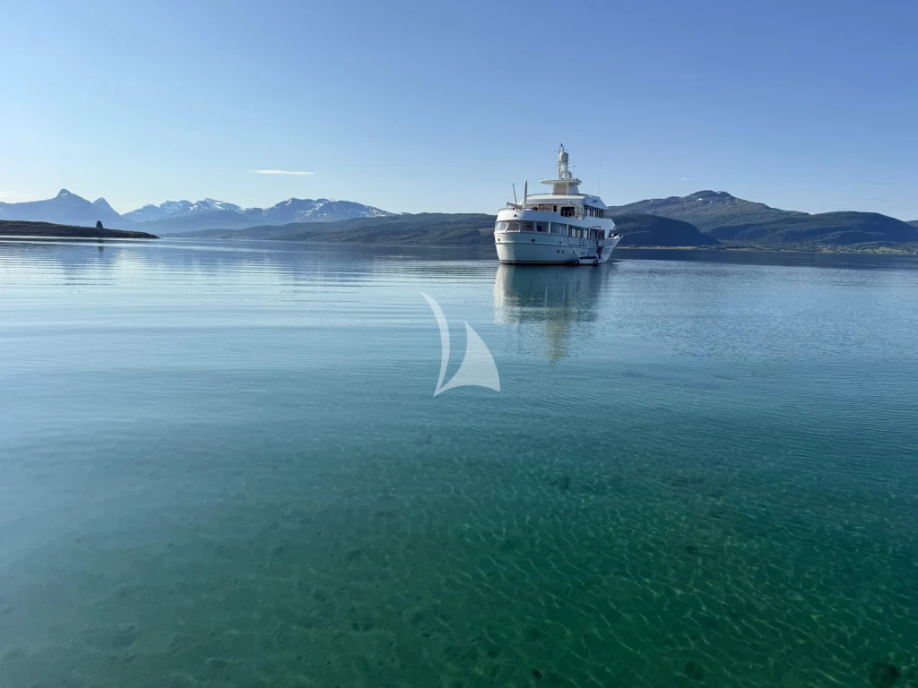 Sheergold in Norway this summer 2026