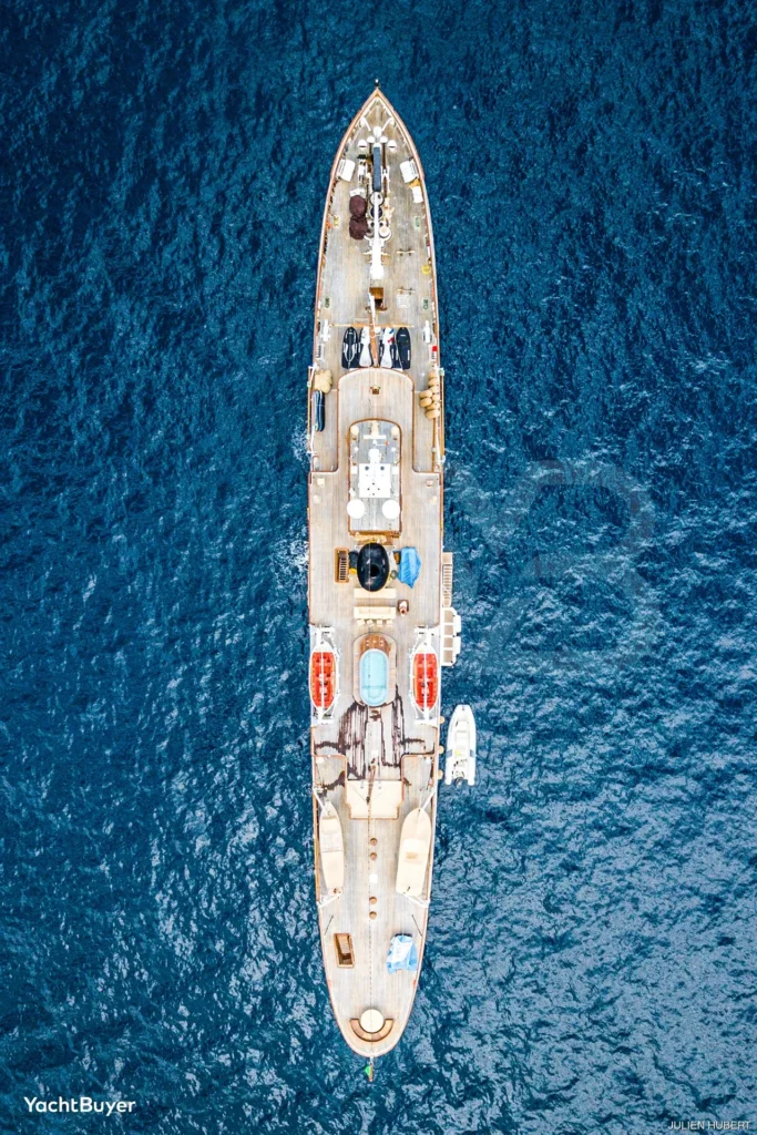 SS DELPHINE photo 5
